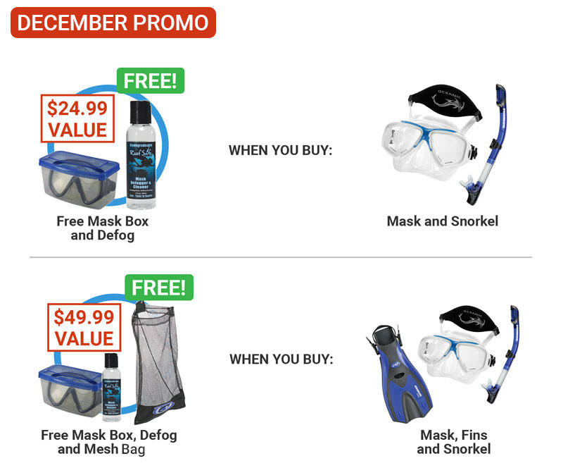 Snorkeling Gear Dive World